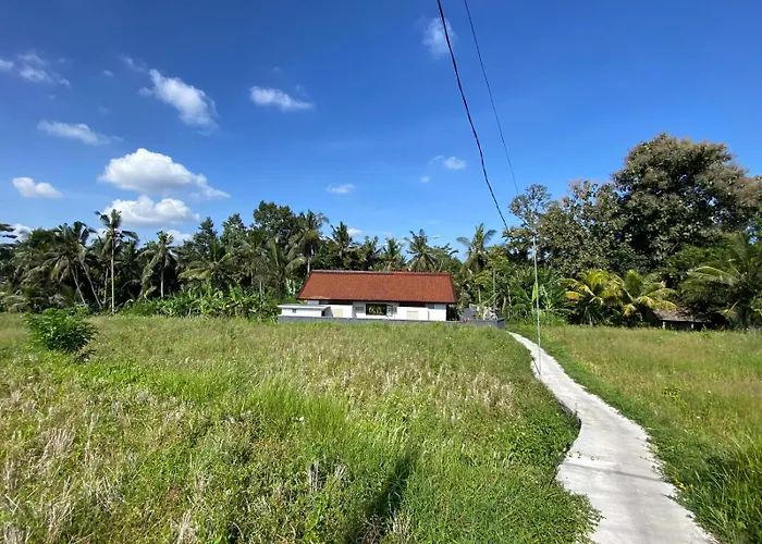 Vakantiehuis Mas Gentong